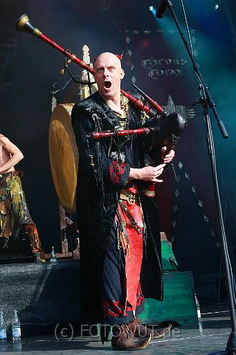 corvus_corax_036.jpg