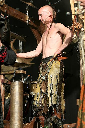corvus_corax_038.jpg
