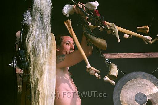 corvus_corax_039.jpg
