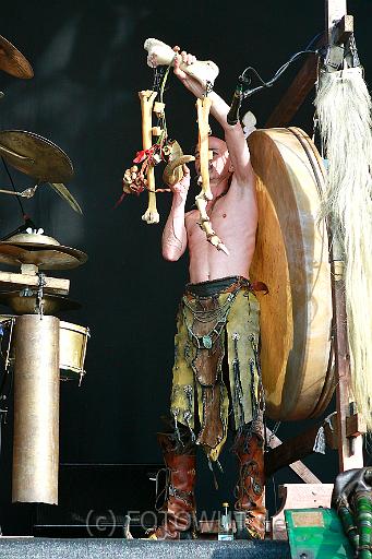 corvus_corax_041.jpg