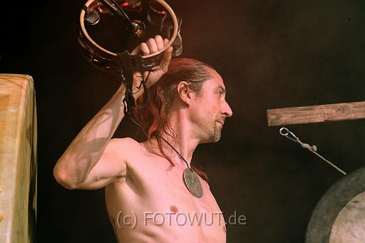 corvus_corax_045.jpg