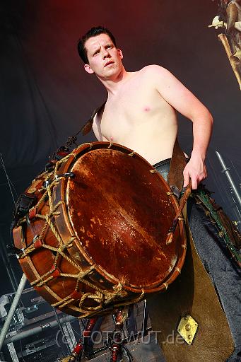 corvus_corax_052.jpg