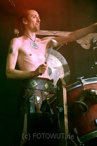 corvus_corax_063.jpg