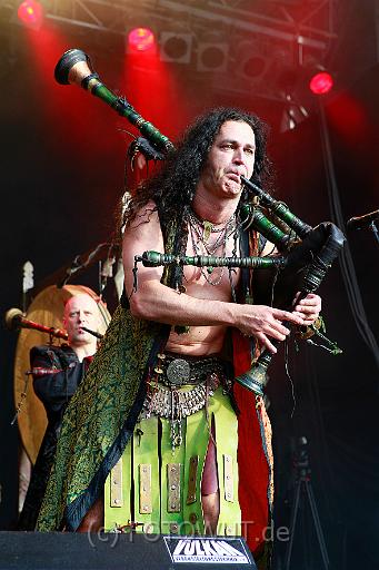 corvus_corax_065.jpg