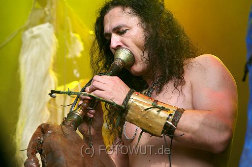 corvus_corax_076.jpg