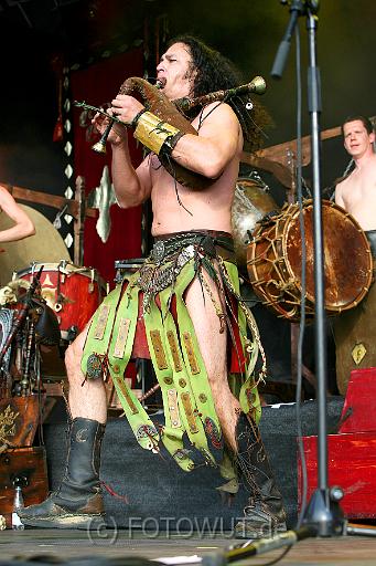 corvus_corax_079.jpg