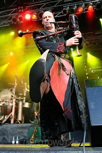 corvus_corax_080.jpg