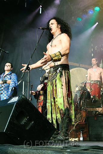 corvus_corax_090.jpg
