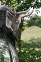 camping_038